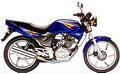 CBX200 Strada