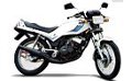 RDZ 125 e 135